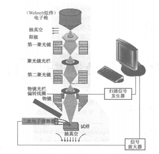 臺(tái)式掃描電子顯微鏡結(jié)構(gòu)原理示意圖 臺(tái)式掃描電子顯微鏡結(jié)構(gòu)原理示意圖