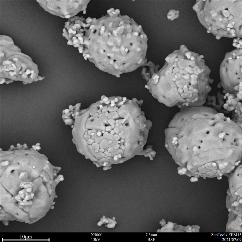 國產臺式掃描電鏡-掃描電鏡價格-廠家直銷(圖10) 臺式掃描電鏡應用3.png