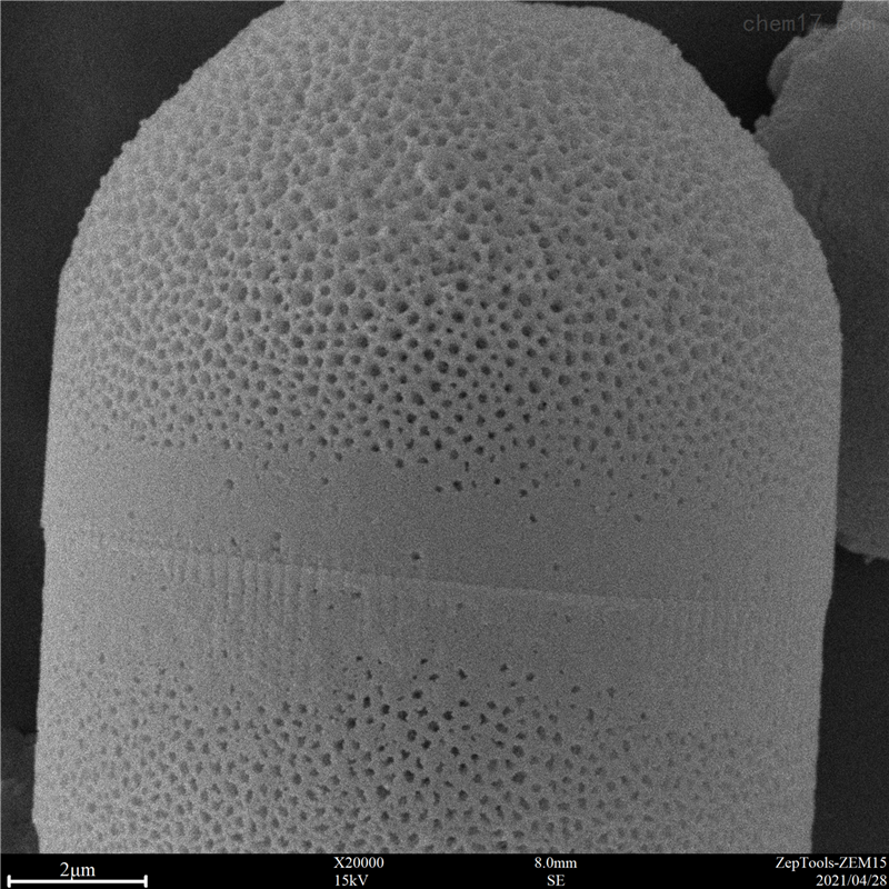 國產臺式掃描電鏡-掃描電鏡價格-廠家直銷(圖11) 臺式掃描電鏡應用4.png