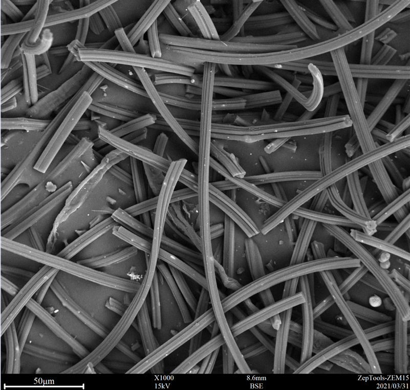 ZEM桌面臺式掃描電鏡-掃描電鏡價格(圖3) 臺式掃描電鏡應用1.png