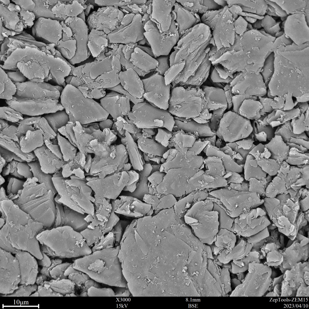 負極極片 負極極片