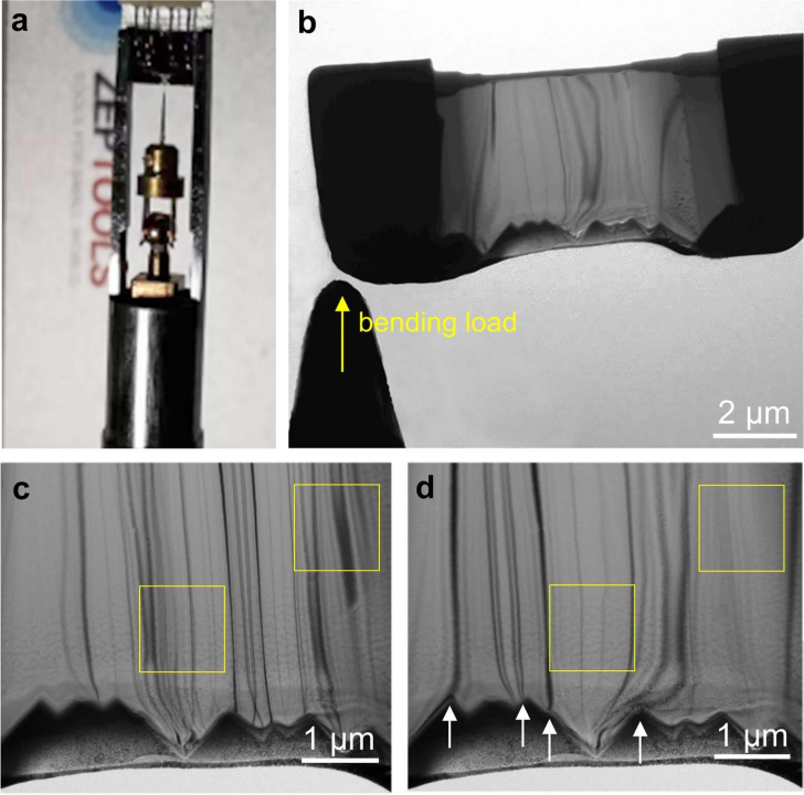 支撐數據圖 支撐數據圖
