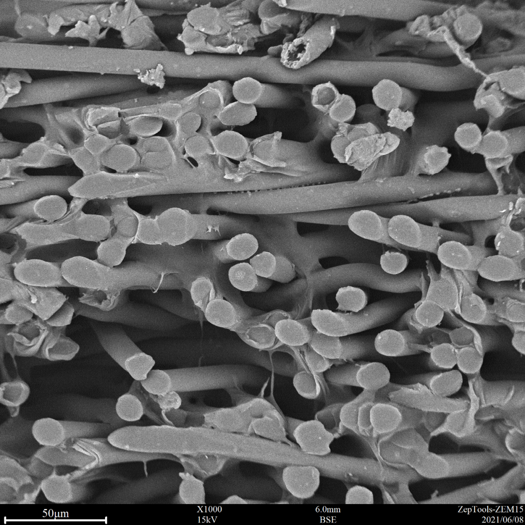 高分子材料 高分子材料