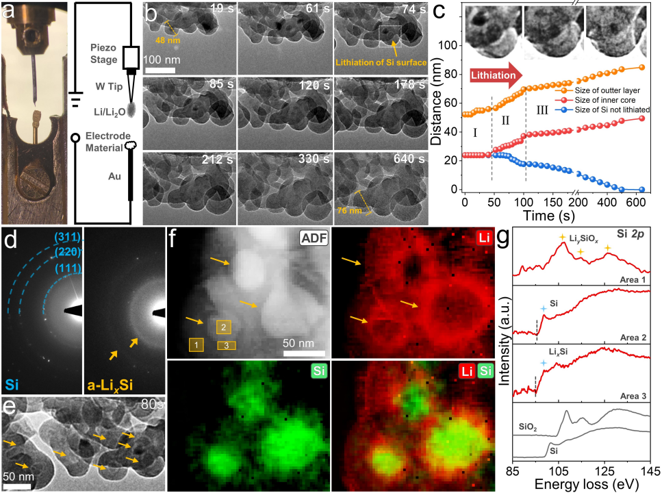 原位電子顯微學揭示鋰化過程中結構與化學環境動態演化過程 原位電子顯微學揭示鋰化過程中結構與化學環境動態演化過程
