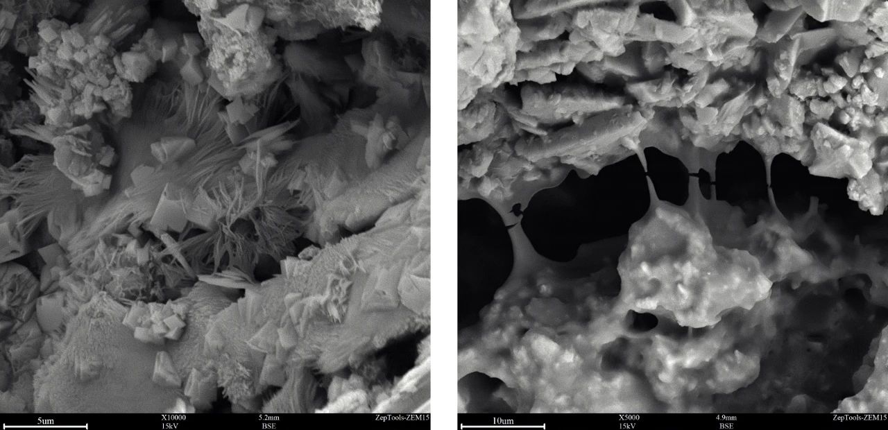 ZEM20臺式掃描電鏡在混凝土材料微觀結構及性能研究中的應用(圖7) ZEM20臺式掃描電鏡在混凝土材料微觀結構及性能研究中的應用(圖7)
