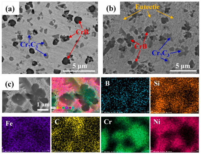 掃描電子顯微鏡圖像 掃描電子顯微鏡圖像