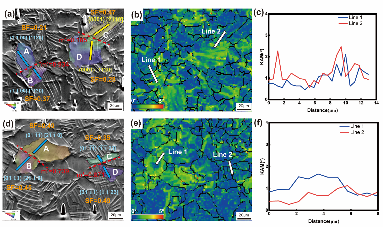 澤攸科技原位SEM 澤攸科技原位SEM