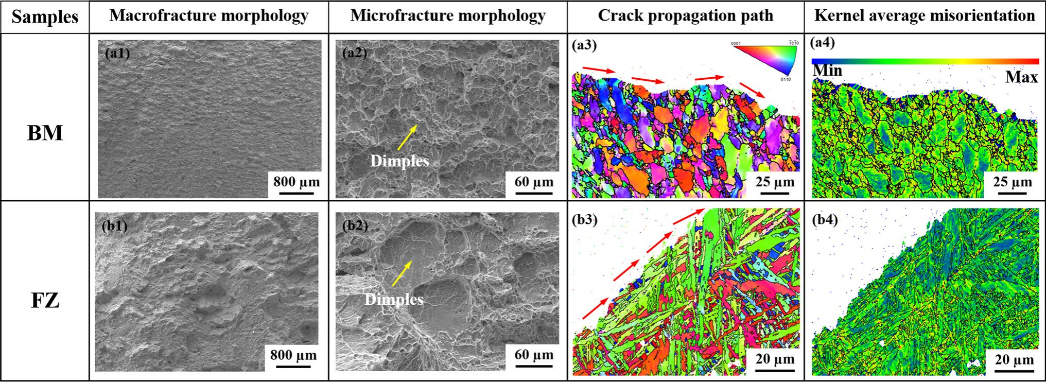 BM與FZ的斷口形貌及裂紋擴展路徑分析 BM與FZ的斷口形貌及裂紋擴展路徑分析