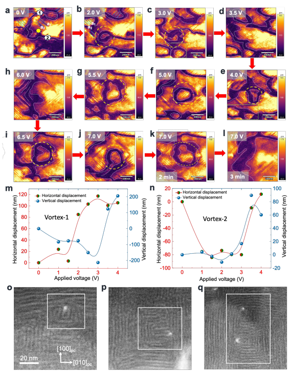 澤攸科技原位TEM 澤攸科技原位TEM